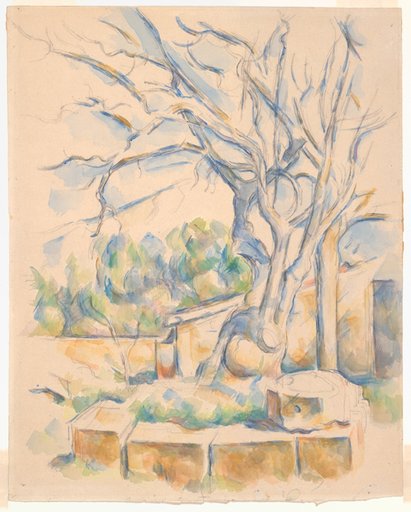 Pistachio Tree at Château Noir