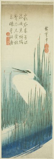 White heron and brushes