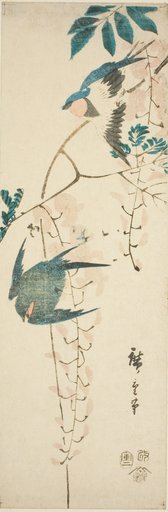 Swallows and wisteria