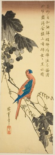 Parrot on a Grapevine