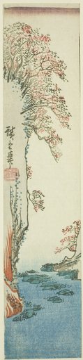Trees on a cliff above a river