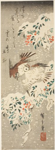 Sparrows Flitting about Snow-covered Nandina as More Snow Falls