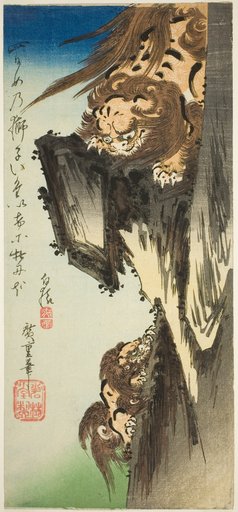 A Lion Training a Cub