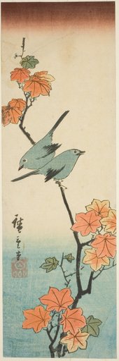 Japanese white-eyes on a maple branch