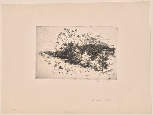 Autumn Landscape