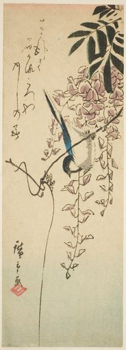 Bird on wisteria
