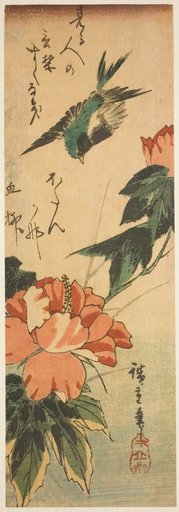 Swallow and hibiscus