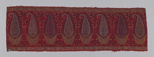 Shawl Border (Pallu)