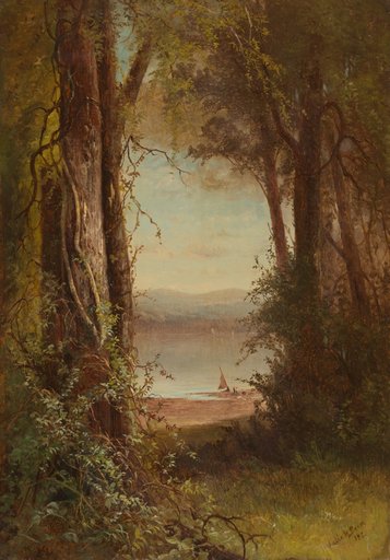 Looking upon the River