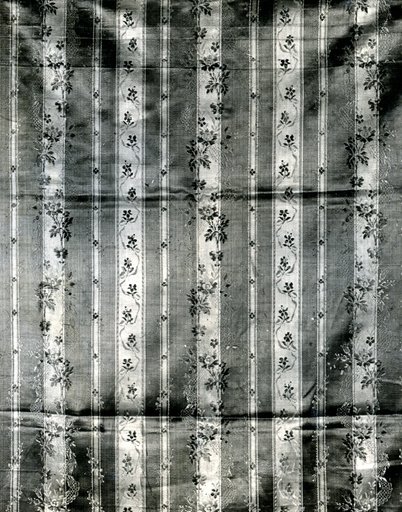 Panel