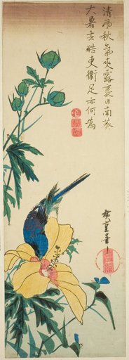 Blue bird and hibiscus