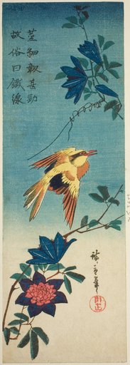 (Facsimile?) Black-naped oriole and clematis