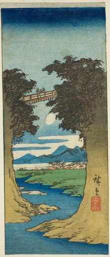 Monkey Bridge