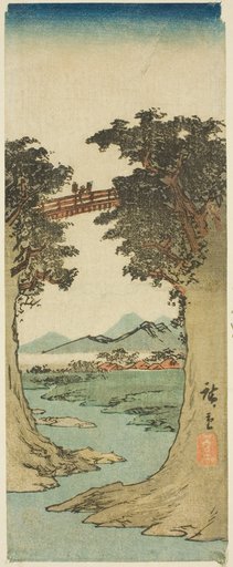 Monkey Bridge