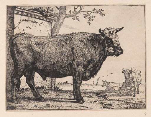 The Bull, from Various Oxen and Cows
