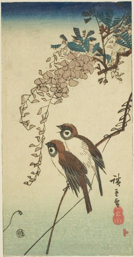 Sparrows and wisteria