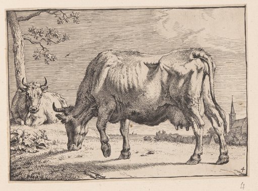 The Grazing Cow, from Various Oxen and Cows