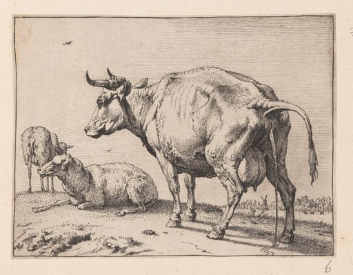 The Pissing Cow, from Various Oxen and Cows