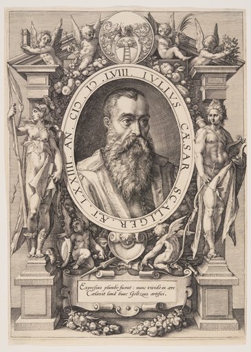 Portrait of Julius Caesar Scaliger