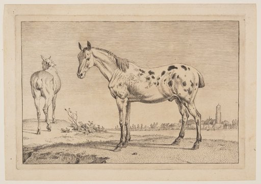 The Neighing Horse, from Series of Horses