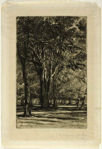 Kensington Gardens, No. II (large plate)