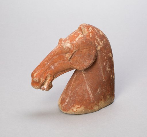 Head of a Horse