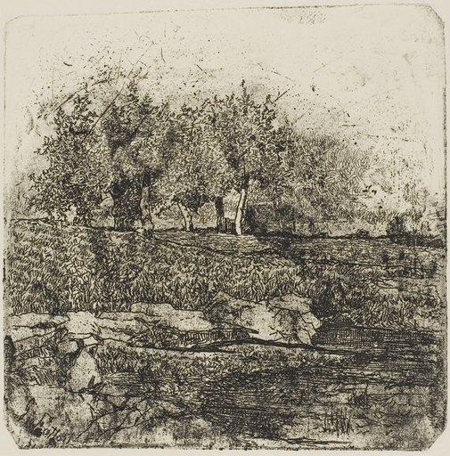 Trees in a Meadow