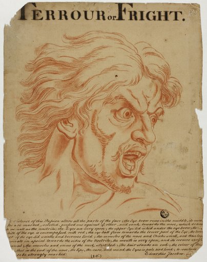 Terrour (sic) or Fright