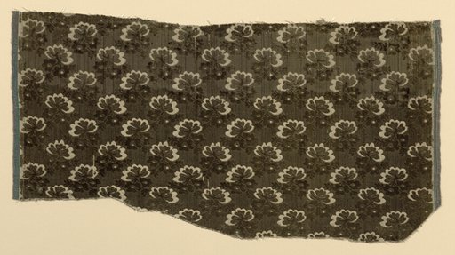 Fragment