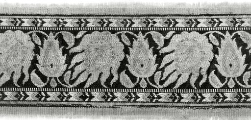 Fragment (Border)