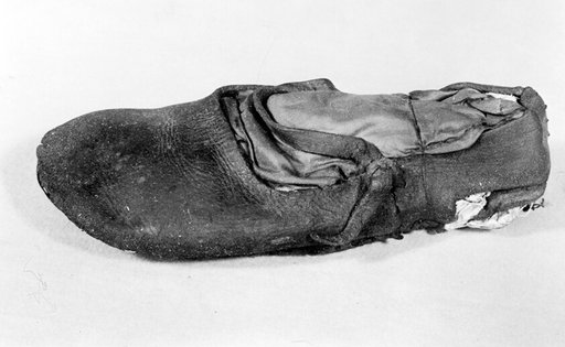 Shoe