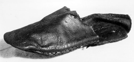 Shoe