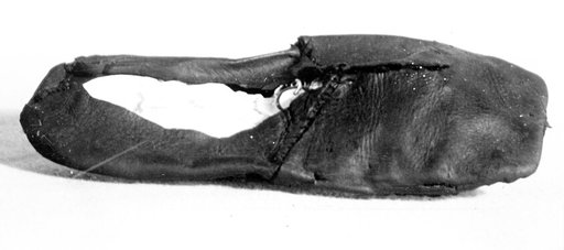 Shoe