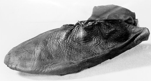 Shoe (Toe)