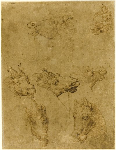 Heads of Horses and Unicorns