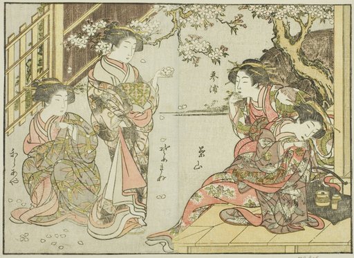 Courtesans of the Asahimaruya, from the book "Mirror of Beautiful Women of the Pleasure Quarters (Seiro bijin awase sugata kagami)," vol. 1