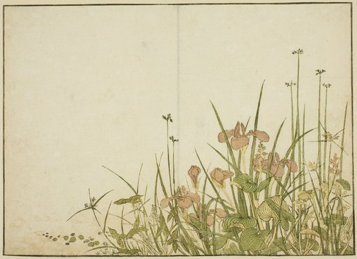 Summer Flowers: Irises and Water Plantains, from the book "Mirror of Beautiful Women of the Pleasure Quarters (Seiro bijin awase sugata kagami)," vol. 1