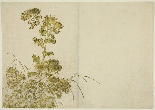 Winter Flowers: Chrysanthemums, from the book "Mirror of Beautiful Women of the Pleasure Quarters (Seiro bijin awase sugata kagami)," vol. 1
