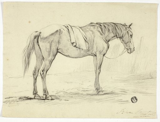 Standing Horse