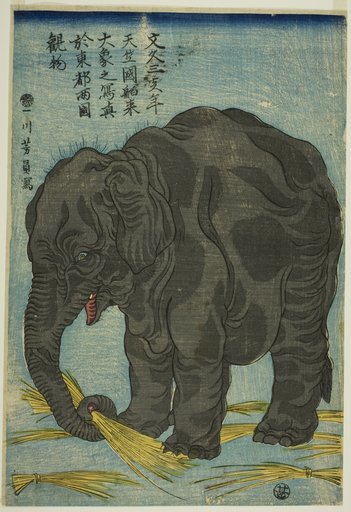 Picture of Large Elephant from India (Tenjiku hakurai dai zo no shashin), An Attraction at Ryogoku in the Eastern Capital (Toto Ryogoku mimono)