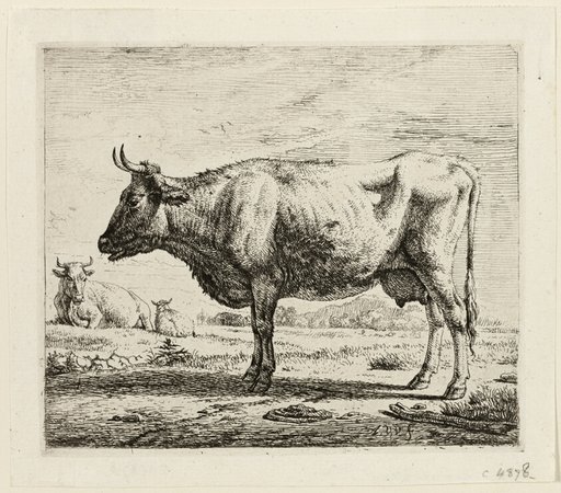 Two Cows and a Sheep