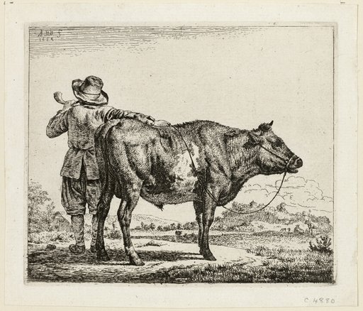The Cowherd and the Bull