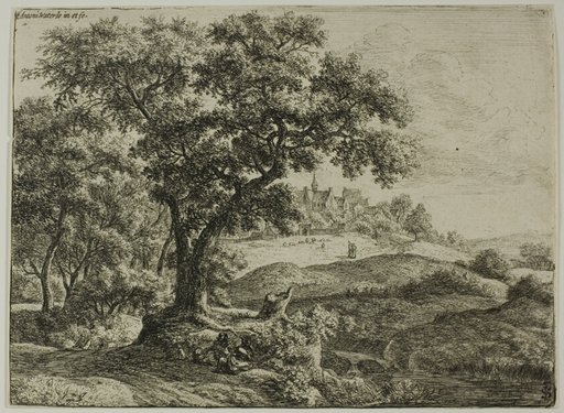 The Edge of the Forest