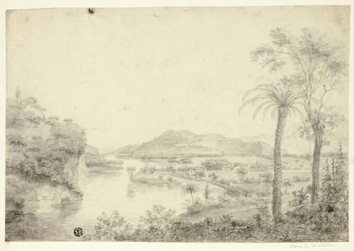 South American Landscape