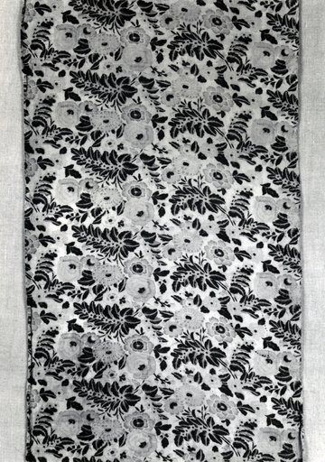 Panel