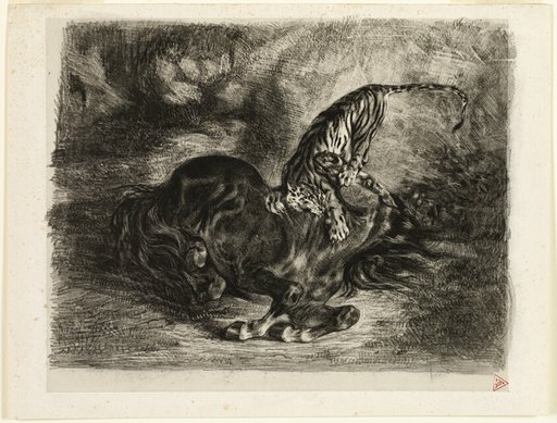 Wild Horse Brought Down by a Tiger