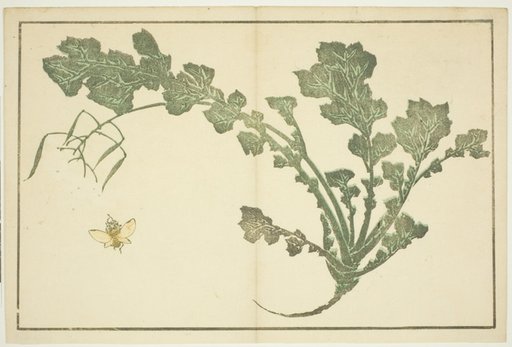 Wasp and turnip stalk, from "The Picture Book of Realistic Paintings of Hokusai (Hokusai shashin gafu)"