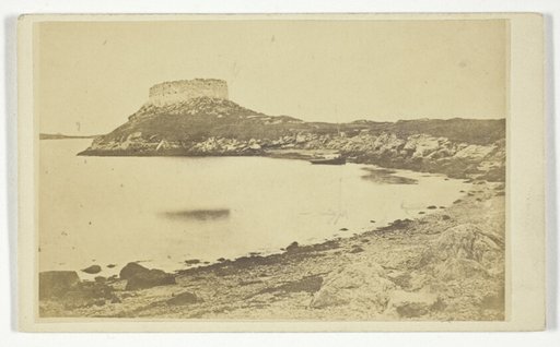 Fort Dumplings