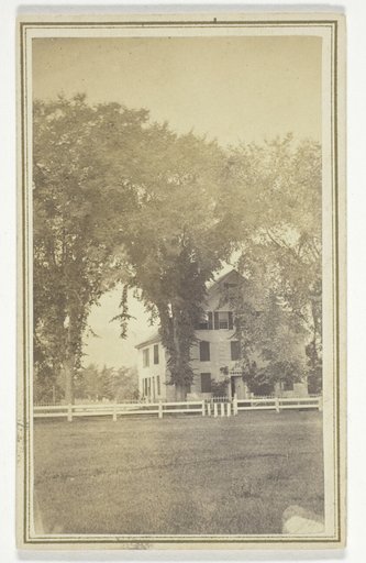 Miss Brown's house and curious elm cross.