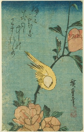 Yellow bird and hibiscus